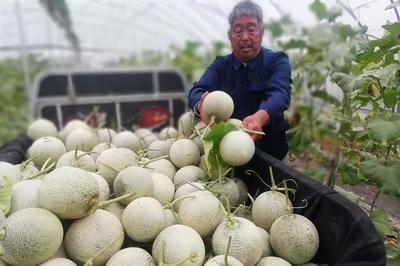 鄉(xiāng)村旅游開發(fā) 農(nóng)民致富新路徑